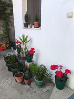 Gorica - B&B Negotin