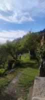 Apartments Spalj 1 i 2 - B&B Segna
