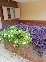 Chayerita - Suite en La Rioja - B&B La Rioja