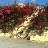 Agroturisme s' Horta - Ferienwohnung Capdepera