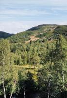 Nikolaisens Nordic Panorama hideaway - B&B Stranda