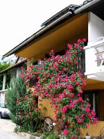 Rose Cottage - B&B Bovec