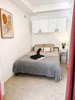 Appartement le petit port - B&B Toulon