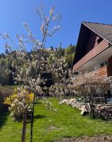 Menzenschwand Schwarzwald Geißentalblick mit Balkon und Infrarot, Ruhe und Natur - Ferienwohnung Sankt Blasien