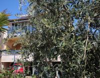 Casa Villa TATIANA MARE - Ferienwohnung Rovinj