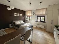 Ferro Heritage Apartment - Design Loft in Renovated Historic Tenement, Old Town Poznań - B&B Posnania