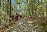 Luxe Blue Ridge Cabin: Hot Tub, Theater, Dogs OK - B&B Blue Ridge