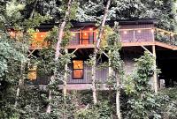 The Little Lake House-Modern Sunrise Treehouse with Lake Views - Ferienwohnung Smithville