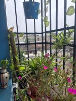 Serene Cove Homestay - Chambres d'hôtes Dispur