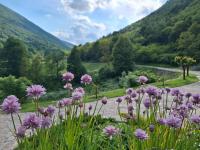 Stanar - B&B Grgar