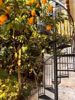 Mary's Country Villa - Villa in charming and amazing Sorrento Coast - B&B Massa Lubrense
