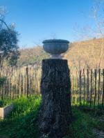 Tavern di Arqua' - B&B Arquà Petrarca
