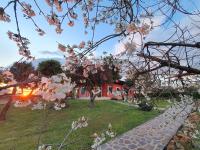 Casale Oasi di Pace WI FI Posto Auto - B&B Roma