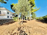 Villa Saladar - B&B Jávea