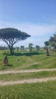 Villa Fronte Spiaggia 
