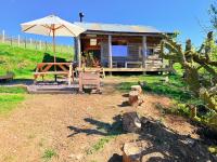 Snowdonia Cabin Retreat - Sea Views - Mountains - B&B Moel-tryfan