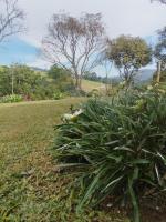 Chalé Sonho Diniz 4 - B&B Monte Verde