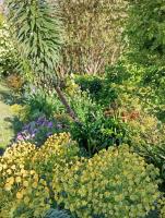 Standard Double Room with Garden View