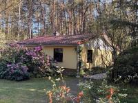 Ferienhaus im Wald - Ferienwohnung Borkwalde
