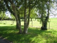 The Cosy Hill - B&B Poperinge