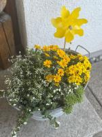 BodenseeGlück - Dein Rückzugsort am Bodensee - B&B Radolfzell