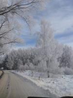 Sosnowy zakątek odpocznij Tu - B&B Szafarnia