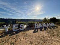 Yes Banana - B&B Bananeiras