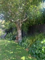 Private Retreat - B&B Cambridge