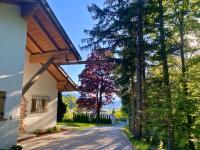 Ferienhaus Eichenseer Gallzein - Alleinlage mit Garten, Wald & Bergblick - B&B Gallzein