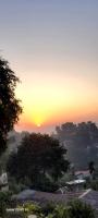 The BIRD Nest - B&B Guwahati