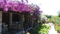 Studio with Garden View