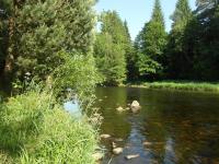 Maringotka Otavěnka na Šumavě - Ferienwohnung Dlouhá Ves