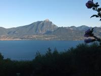 Punta sul Garda - B&B Torri del Benaco