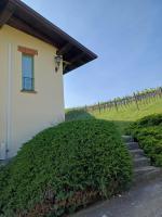 Calice dei Cherubini - Bed and Breakfast Montecalvo Versiggia