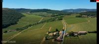 Le Tinailler Gite d'exception au coeur des Vignes- Deux suites parentales - Amazing place - B&B Prissé