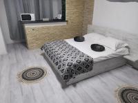 Leyla Studio Ultracentral Pitesti - Bed and Breakfast Piteşti