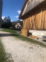 Ferienwohnung Lamprechtsburg - B&B Bruneck
