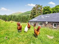 2 Bed in Fort William oc-50975 - Bed and Breakfast Torcastle