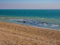 Luxury Seafront Villa for 12 with Ocean Views - B&B Sandgate