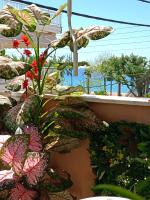 NiK Seaview Suite Balcony Steps from Beach - B&B Flogita