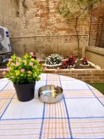Casa in Centro con Giardino - B&B Imola