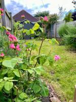 Holly Cottage - Bed and Breakfast Edwinstowe