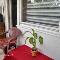 Apartman Suva reka - Chambres d'hôtes Leskovac