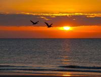 Coastal Sun Retreat - B&B Saint Pete Beach