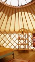 Yurta ficuzza