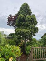 Rest and relax at HeavenLeigh - B&B Leigh