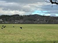 Rose Cottage - B&B Contin