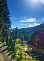 Casa Ursuleasa - Ferienwohnung Ciumârna