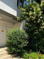 Apartment close to the sea in the most central of city - Chambres d'hôtes Antalya