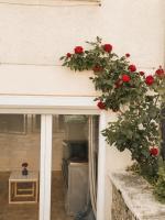 Cozy 1 bedroom apartment with garden - breakfast included - B&B Créteil